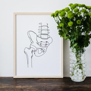 Bäckenbenslinjekonsttryck, anatomiillustration, klinikdekor (digital nedladdning)
