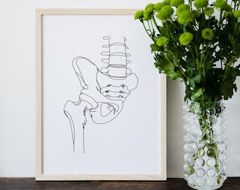 Pelvis Bone Line Art Print, Anatomy Illustration, Clinic Decor (Digital Download)