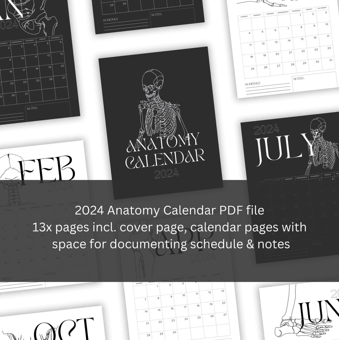 Anatomy Calendar 2024 Skeleton Calendar 2024 2024 Digital Etsy