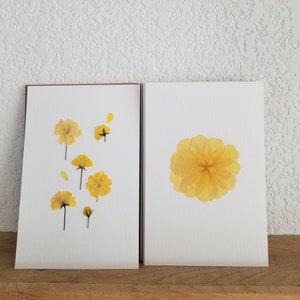 Carte fleurie Rosier Banks - Fait Main - Avec enveloppe