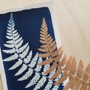 Carte Cyanotype Fougère - 10x15cm