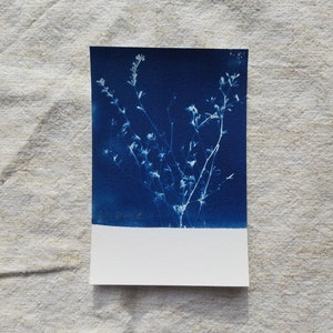 Carte cyanotype originale - Badasses - 10x15cm