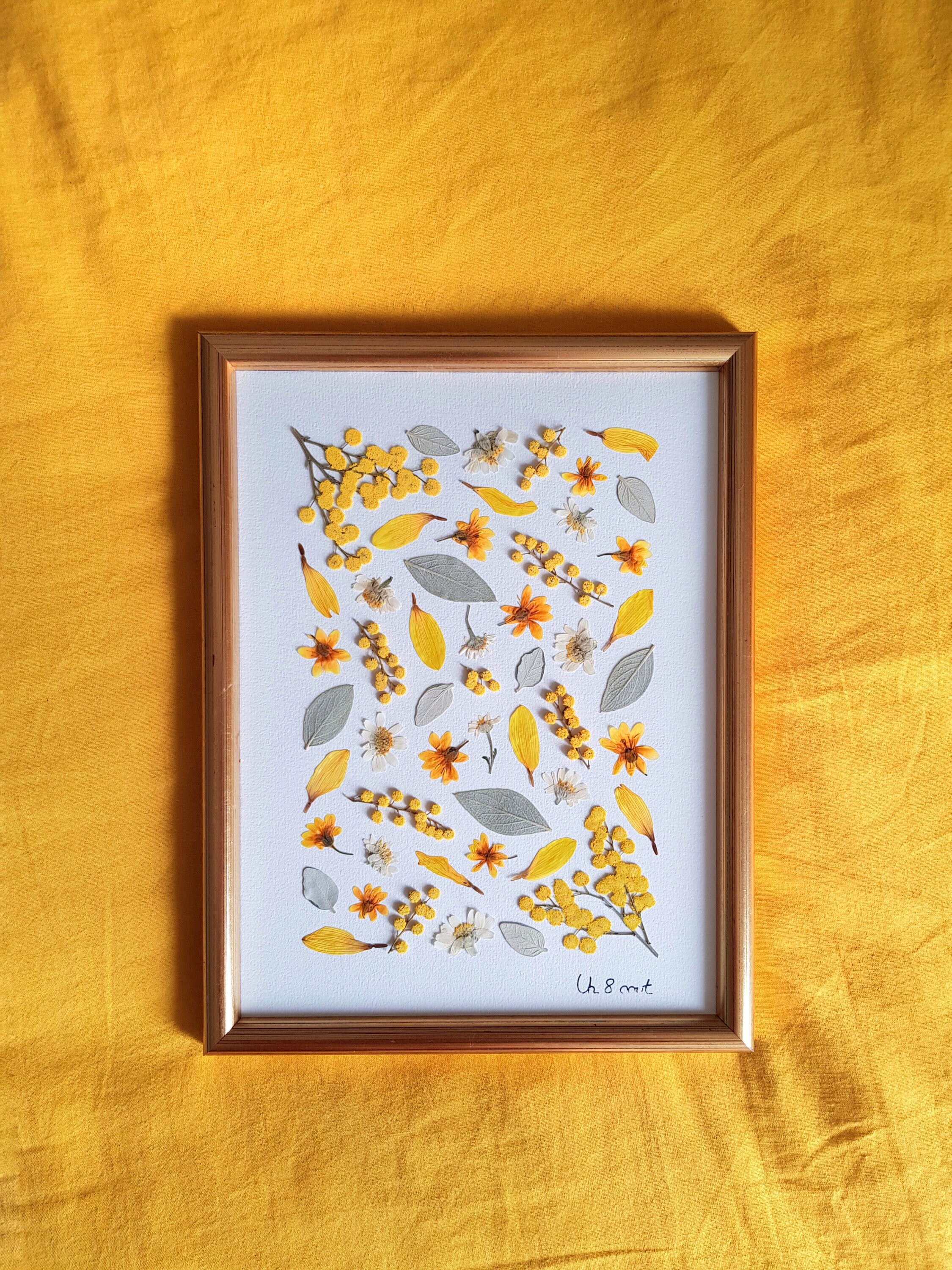 Herbier Encadré Fait Main, Tableau Végétal Composé de Fleurs Pressées, Artisanat, Un 8 Aout