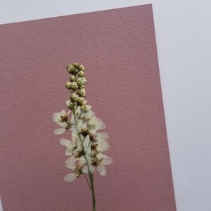 Carte fleurie couleur Rose Cerisier à Grappe - Fait Main - Avec enveloppe
