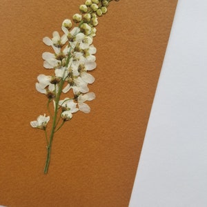 Carte fleurie Cerisier à Grappe - Fait Main - Avec enveloppe