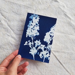 Carte double cyanotype Lilas - Fait main format 10*15cm - Création artisanale