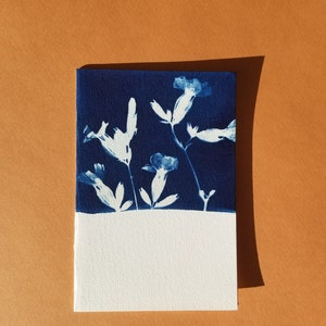 Carte double cyanotype Silène Blanche - Fait main format 10*15cm - Création artisanale