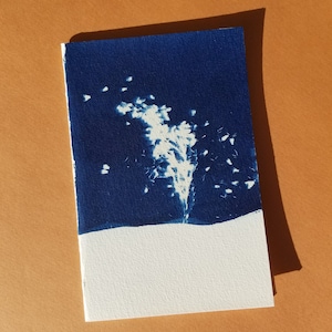 Carte double cyanotype Bruyère - Fait main format 10*15cm - Création artisanale