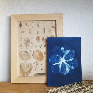 Carte Cyanotype Anémone 10x15cm - Fabriqué en France - Fleurs pressées