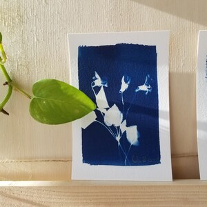 Carte cyanotype originale - Violette - 10x15cm
