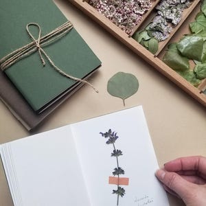Cyanotypie-Set - Karten - Notizbücher mit Blumenmotiv - Made in France