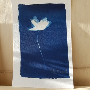 Carte cyanotype fait main - Anémone - Fabrication artisanale