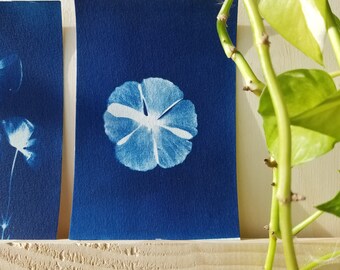 Cartão de cianótipo artesanal - Ranunculus - 15x10cm - Feito à mão