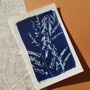 Carte double cyanotype fait main - Césalpine - 15x10cm - Fabrication artisanale