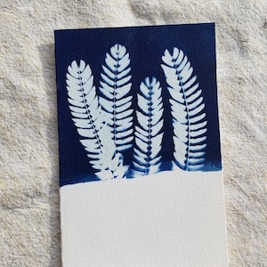 Carte double cyanotype Albizia - Fait main format 10*15cm - Création artisanale