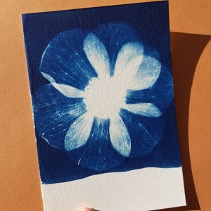 Carte double cyanotype Anémone - Fait main format 10*15cm - Création artisanale