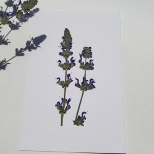 Sage floral card - Handmade - With envelope