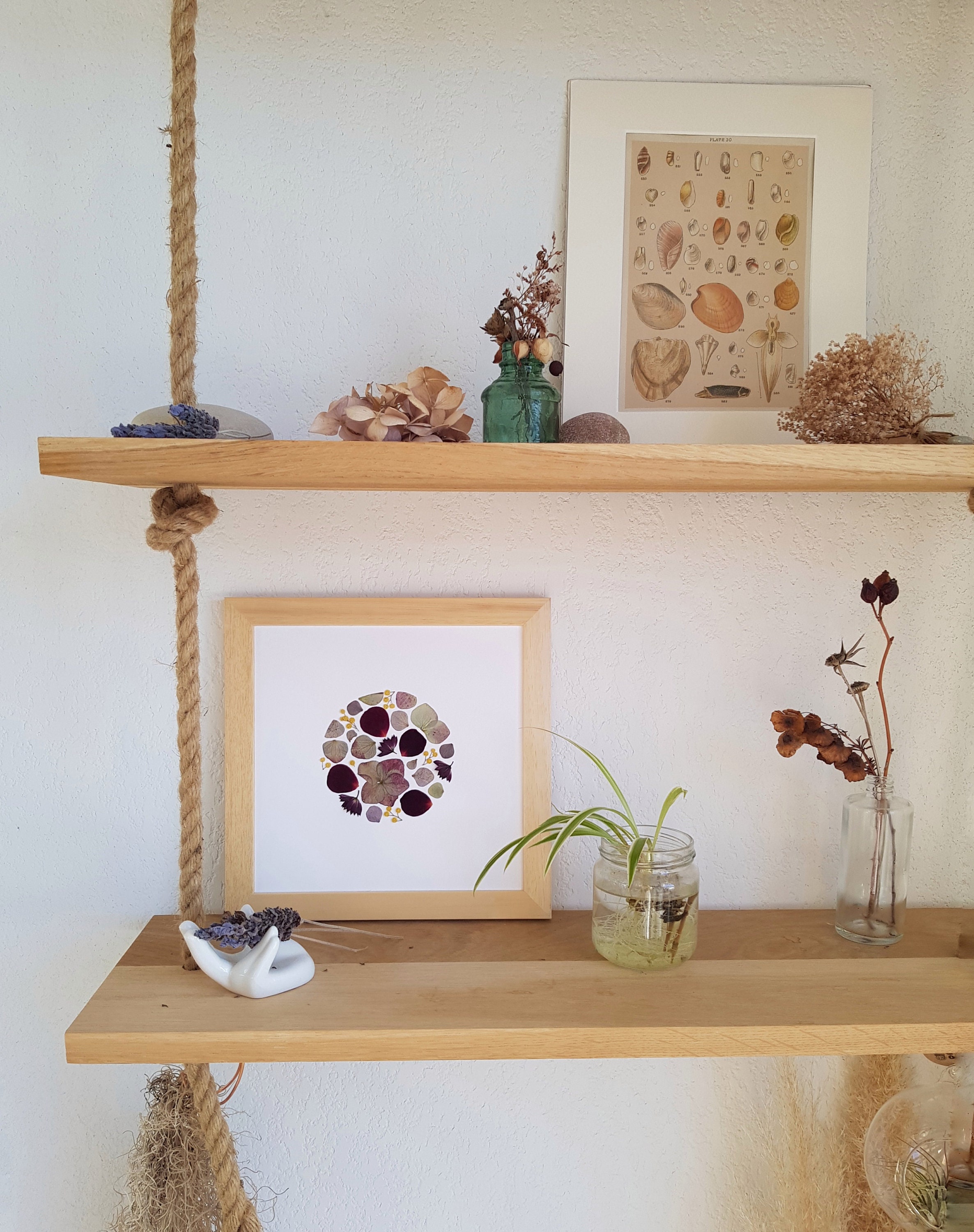 Herbier Encadré Composés de Fleurs Pressées, Tableau Végétal, Cadre en Chêne, Mimosa et Hortensia