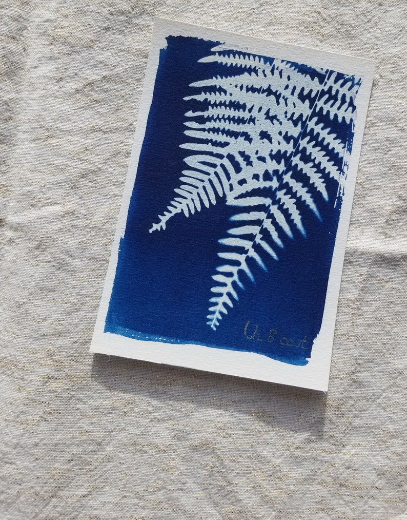 May include: A cyanotype print of a fern frond on a white background. The fern is white and the background is a deep blue. The print is signed 'W.B. Scott' in the bottom right corner.