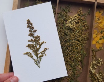 Biglietto floreale Solidago - Fatto a mano - Con busta