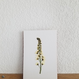Carte fleurie Cerisier à Grappes - 10*15cm - Fait main