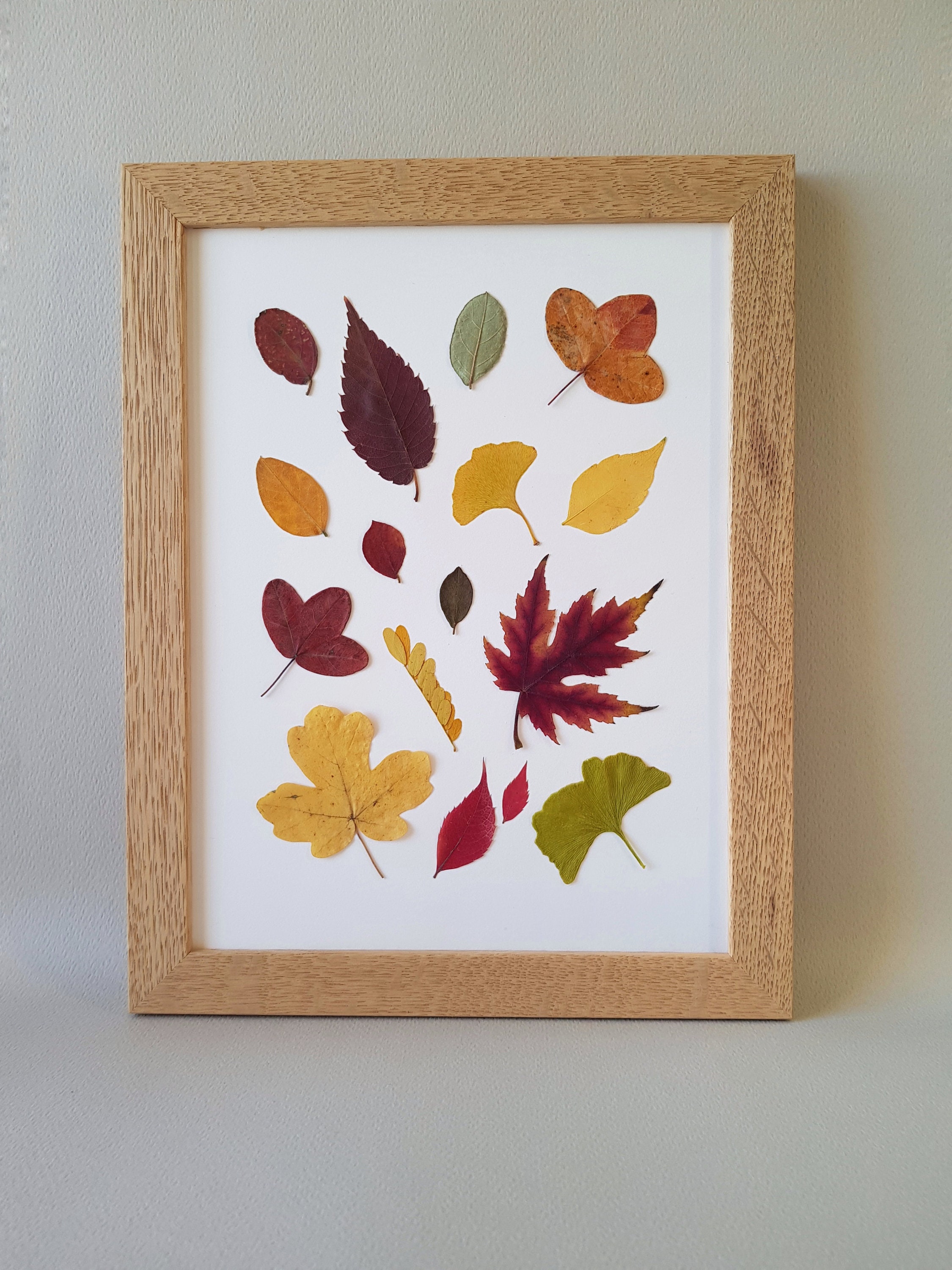 Herbier Encadré, Feuilles d'automne Pressées, Cadre Végétal Fait Main en France