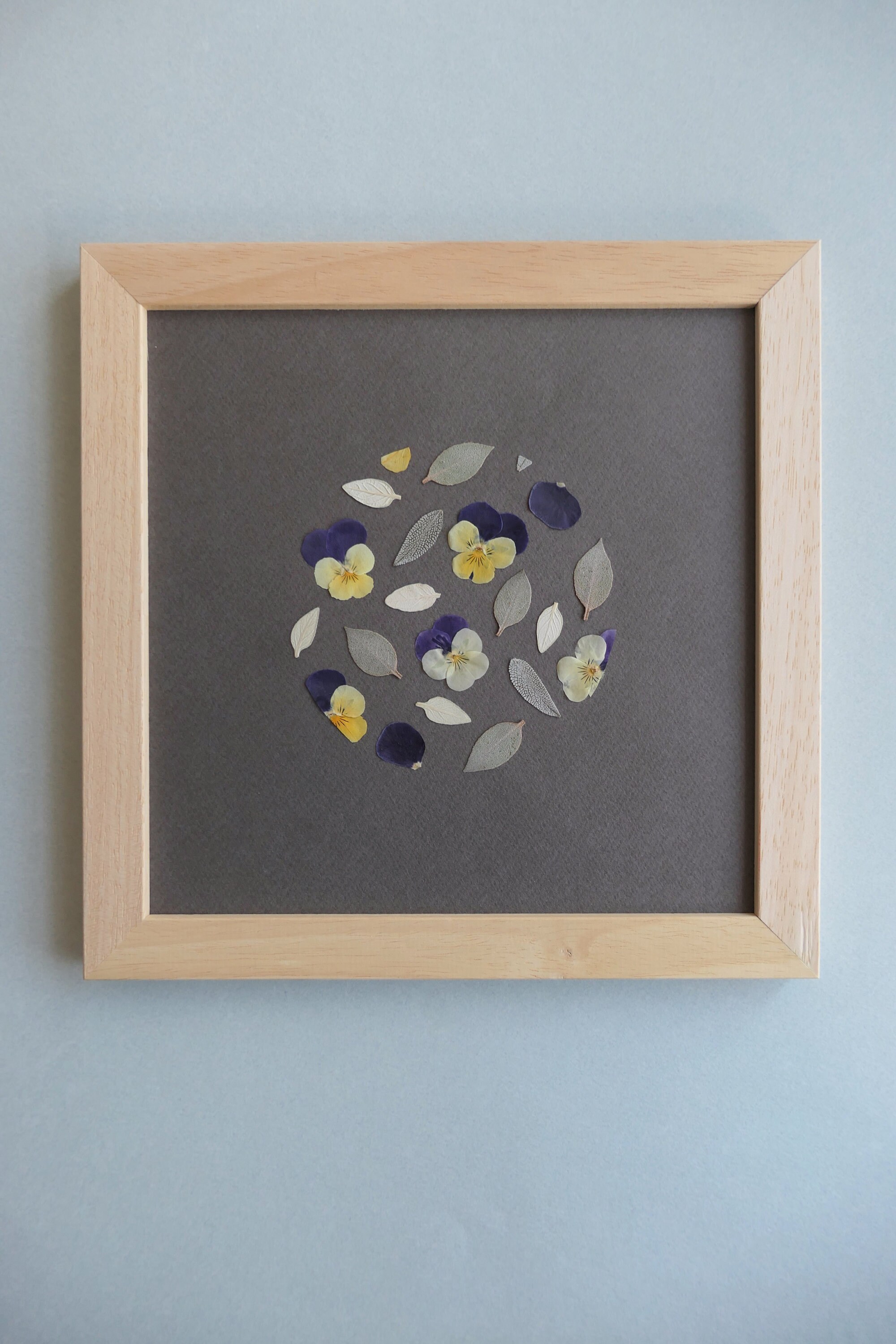 Herbier Encadré Composés de Fleurs Pressées, Tableau Végétal, Fait Main en France