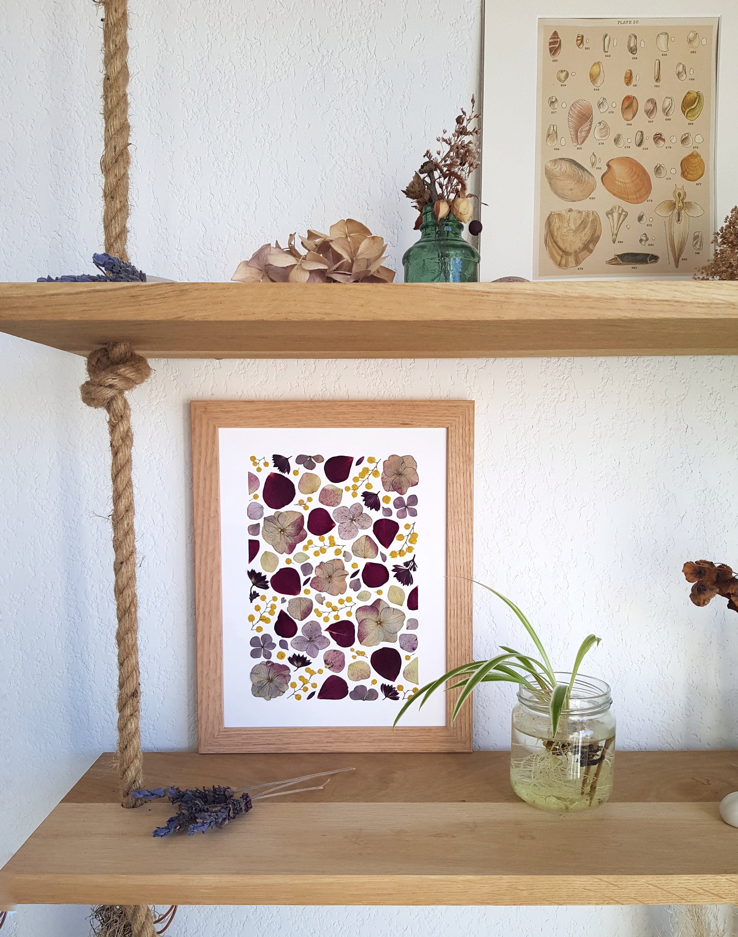 Herbier Encadré Fait Main, Tableau Végétal Composé de Fleurs Pressées