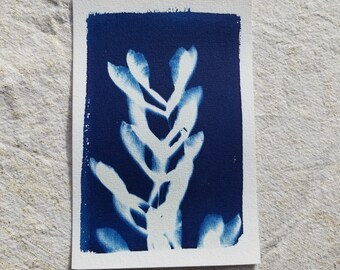 May include: A cyanotype print featuring a white botanical design against a deep blue background. The image showcases a detailed plant silhouette on a rectangular piece of paper with a white border. The artwork is displayed on a textured, neutral-toned surface.
