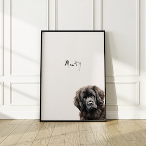 Newfoundland dog print, dog print, fine art dog print, Newfoundland gift, Newfoundland print, Newfoundland wall art