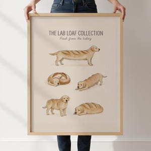 Puede incluir: Una l&aacute;mina enmarcada titulada THE LAB LOAF COLLECTION Fresh from the bakery, que presenta cinco ilustraciones de Labradores Retriever amarillos mezclados con hogazas de pan en varias posturas, de pie, tumbados y enroscados sobre un fondo beige.