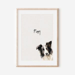 Border Collie Print, dibujo de perro, impresión de perro de arte, regalo de Border Collie, impresión de Border Collie, arte de pared de Border Collie, retrato de perro
