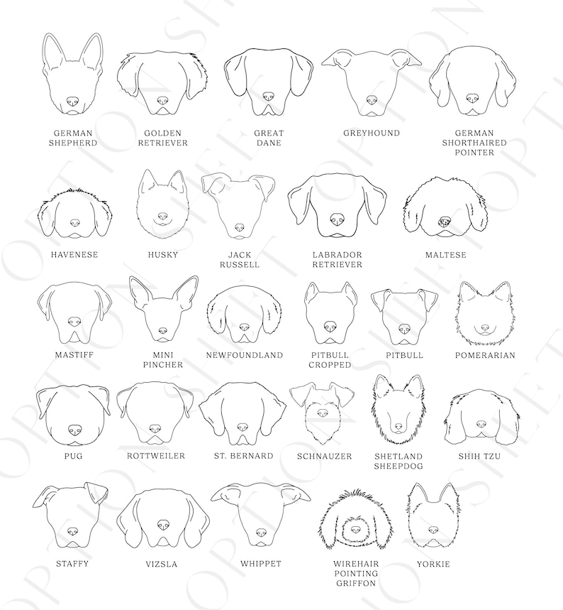 May include: Black and white line drawings of various dog breeds, including German Shepherd, Golden Retriever, Great Dane, Greyhound, German Shorthaired Pointer, Havanese, Husky, Jack Russell, Labrador Retriever, Maltese, Mastiff, Mini Pincher, Newfoundland, Pitbull Cropped, Pitbull, Pomeranian, Pug, Rottweiler, St. Bernard, Schnauzer, Shetland Sheepdog, Shih Tzu, Staffy, Vizsla, Whippet, Wirehair Pointing Griffon, and Yorkie.