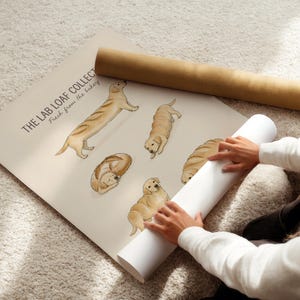 Puede incluir: Un p&oacute;ster beige titulado THE LAB LOAF COLLECTION Fresh from the bakery, que presenta ilustraciones de perros Labrador dorados con forma de varios panes, incluyendo un perro con forma de baguette, una hogaza redonda y otras posturas sentadas.