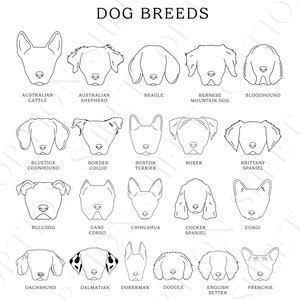 May include: Black and white line art illustrations of various dog breeds, including Australian Cattle Dog, Australian Shepherd, Beagle, Bernese Mountain Dog, Bloodhound, Bluetick Coonhound, Border Collie, Boston Terrier, Boxer, Brittany Spaniel, Bulldog, Cane Corso, Chihuahua, Cocker Spaniel, Corgi, Dachshund, Dalmatian, Doberman, Doodle, English Setter, and French Bulldog.