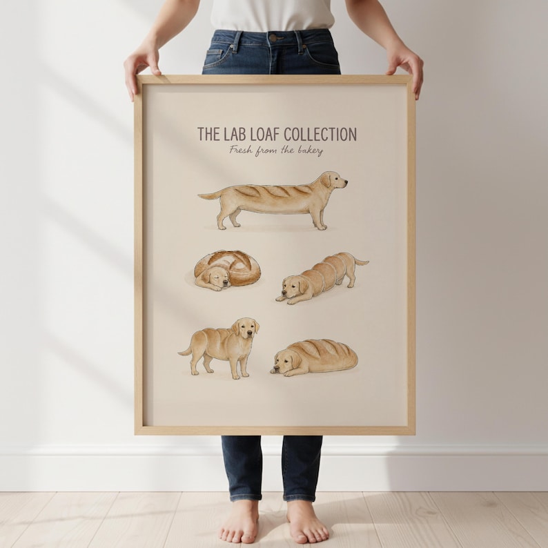 Puede incluir: Una l&aacute;mina enmarcada titulada THE LAB LOAF COLLECTION Fresh from the bakery, que presenta cinco ilustraciones de Labradores Retriever amarillos mezclados con hogazas de pan en varias posturas, de pie, tumbados y enroscados sobre un fondo beige.