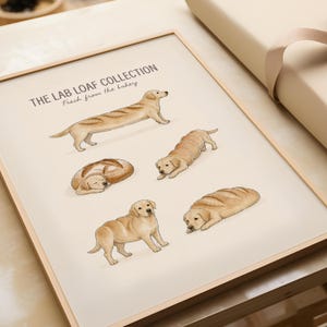 Puede incluir: Una l&aacute;mina enmarcada titulada THE LAB LOAF COLLECTION Fresh from the bakery, que muestra cinco ilustraciones de perros Labrador Retriever amarillos fusionados con varios panes, incluyendo una baguette, una hogaza redonda y pan en rebanadas.