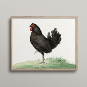 Vintage Rustic Chicken Painting, Kitchen Wall Art, DIGITAL DOWNLOAD, Farmhouse Country Decor, Rustic Illustration, Nature Art, Cottage Chic image 5