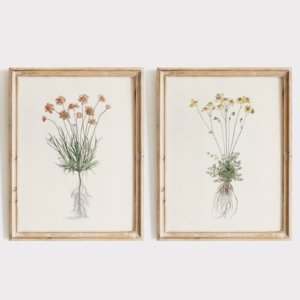 Set of 2 Vintage Flower Illustration Prints, Instant Download, Botanical Wall Art, Floral Paintings With Roots, Plant Study, Farmhouse Decor