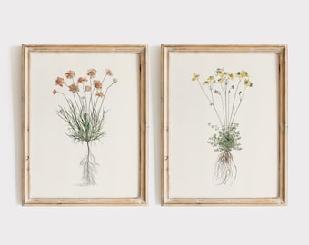 May include: Two framed botanical prints with illustrations of flowers and their roots. The print on the left features orange flowers and the print on the right features yellow flowers.
