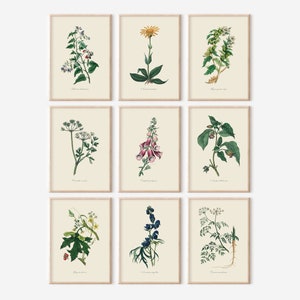 Vintage Set von 9 giftige Blumen Illustrationen, DIGITAL DOWNLOAD, Aquarell Wildblumen Malerei, botanische Wandkunst, Bauernhaus