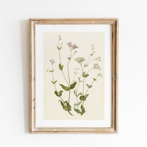 Vintage Wildflowers Painting Print, Instant Digital Download, Botanical Wall Art, Flower Watercolour Illustration, Country Farmhouse Decor