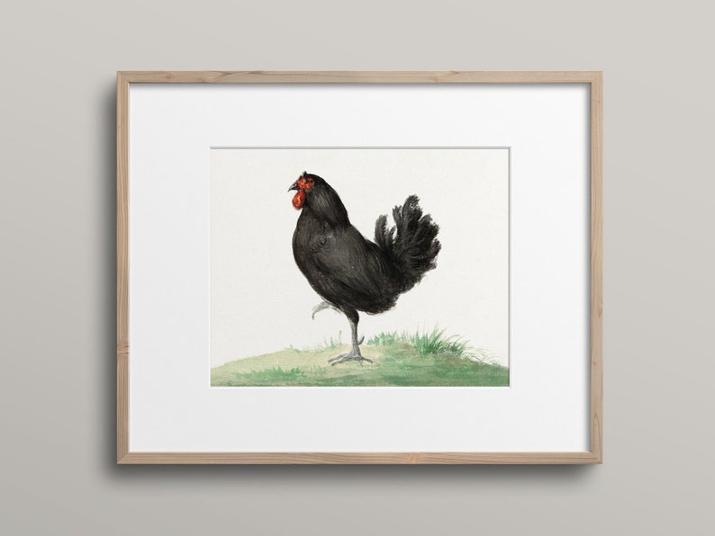 Vintage Rustic Chicken Painting, Kitchen Wall Art, DIGITAL DOWNLOAD, Farmhouse Country Decor, Rustic Illustration, Nature Art, Cottage Chic image 4