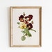 see more listings in the Botanical Illustrations section