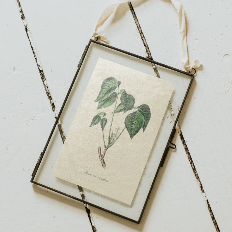 Vintage Poison Ivy Print, DIGITAL DOWNLOAD, Poisonous Plant Watercolour Illustration, Botanical Painting, Witchcraft Magick Art, Farmhouse image 4
