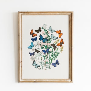 Vintage Europäische Schmetterlinge und Motten Illustration Druck, Digitaler Download, Insekten Studienkarte, Botanische Wandkunst, Schmetterling Poster