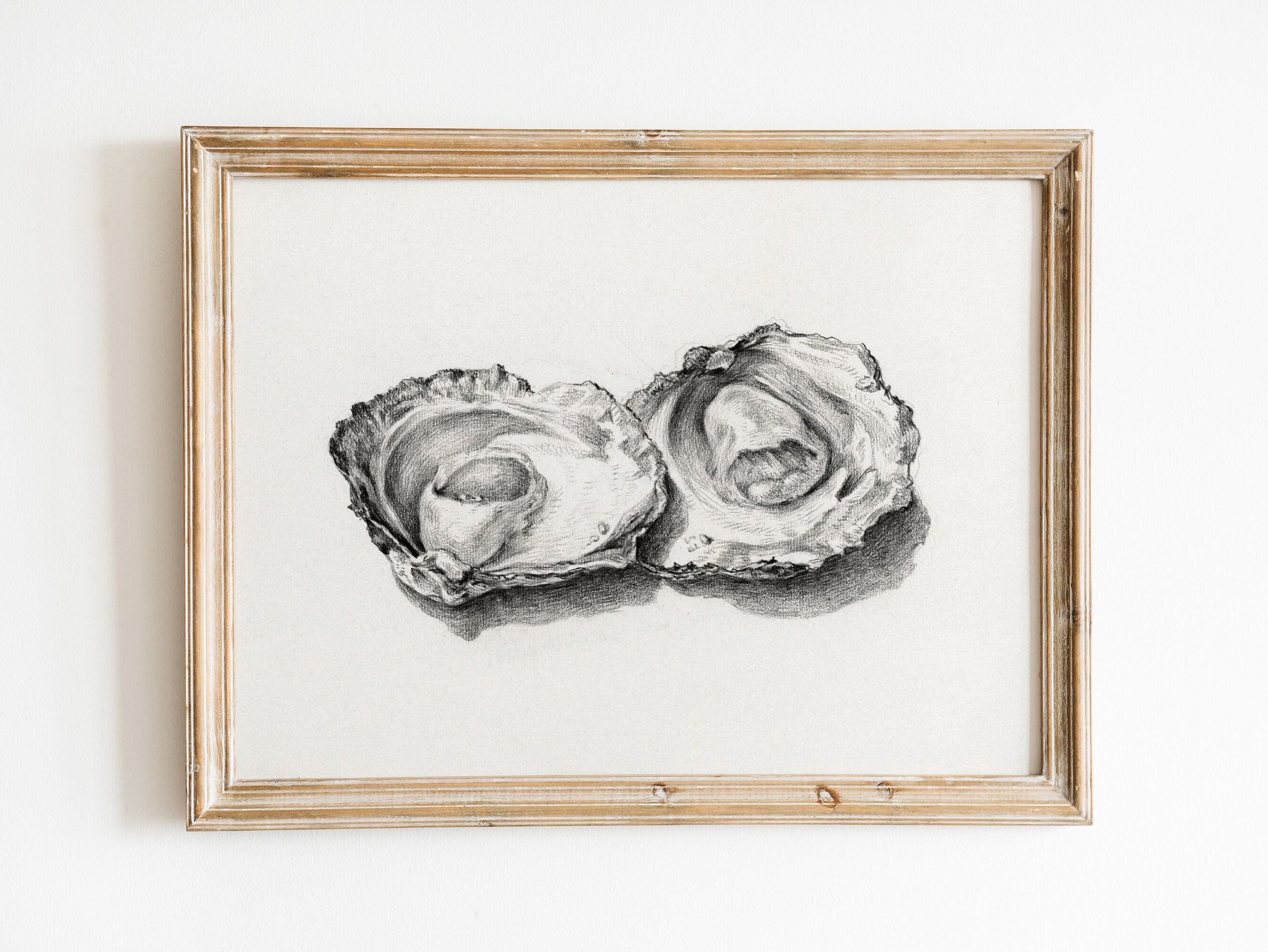 Vintage Oysters Sketch Illustration, Instant Digital Download, Simple Minimalist Drawing, Marine Life, Nature Wall Art, Country Farmhouse
