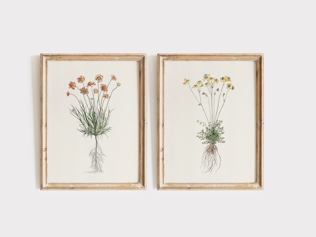 Set of 2 Vintage Flower Illustration Prints, Instant Download ...