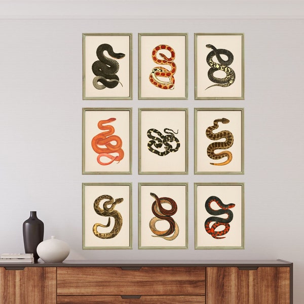 Printable Wall Art Gallery Wall Set of 9 Antique Nature Print. vintage Serpent Print Antique Snake Gallery Wall Print Nature Wall Art Nature