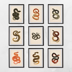 Set of 9 Antique Nature Snake Prints. Vintage Serpent Print Antique Snake Gallery Wall Print Nature Wall Art Nature